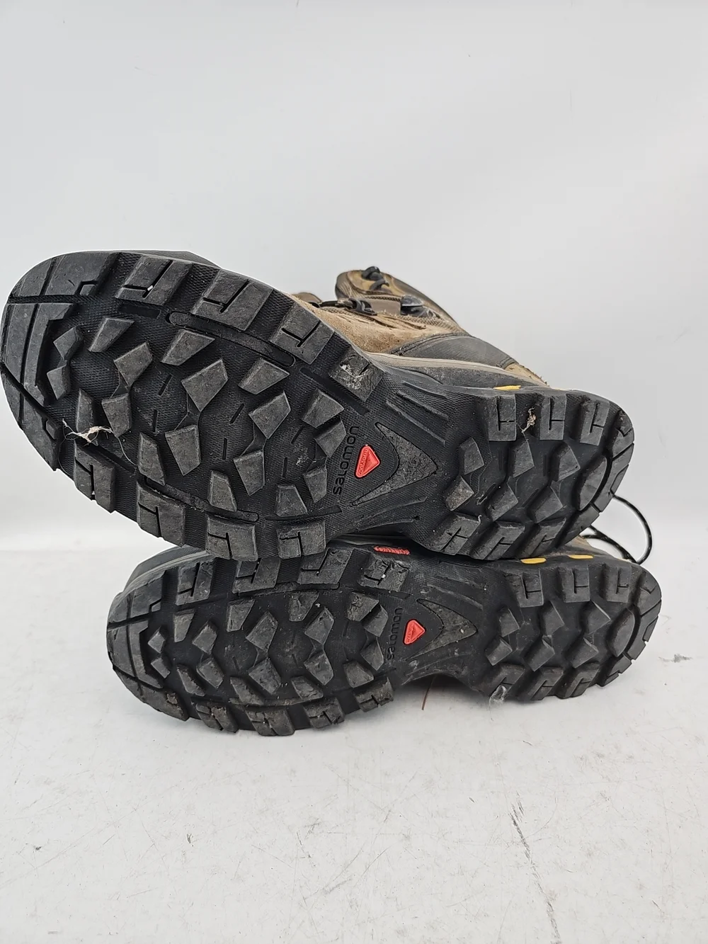Salomon Quest 4D GTX Hiking Boots